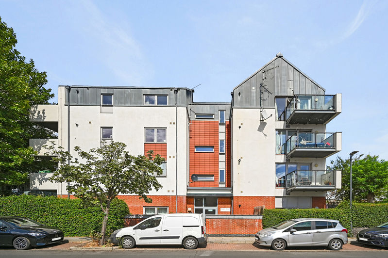 Main Image